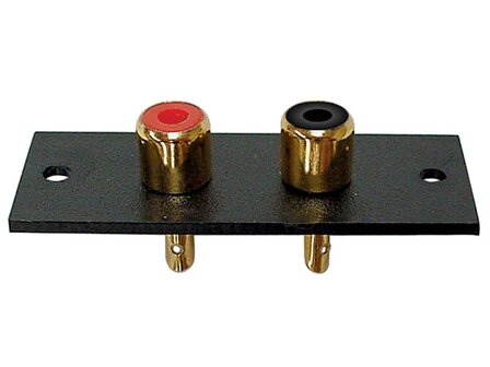 2P-AMP-RCA-PLUG---VERGULD-(CA070)