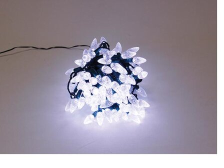 Strawberry-Light-LED---12-m---120-witte-lampen---groene-draad---24-V-(SL-LED-12-24V-W)