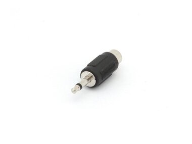 RCA VROUWELIJK NAAR MANNELIJKE 3.5mm MONO JACK (CAA15)