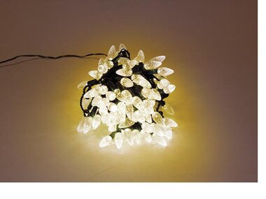 Strawberry Light LED - 12 m - 120 warm witte lampjes - groene draad - 24 V (SL-LED-12-24V-UW)